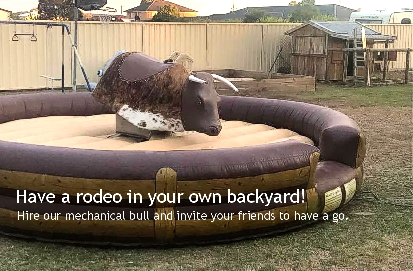 Mechanical Bull